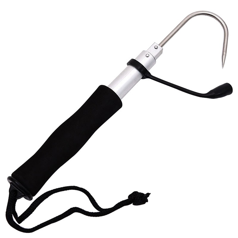 Teleskopischer Ausziehbarer Fi – Landing Net Telescopic Bewertung und Preis