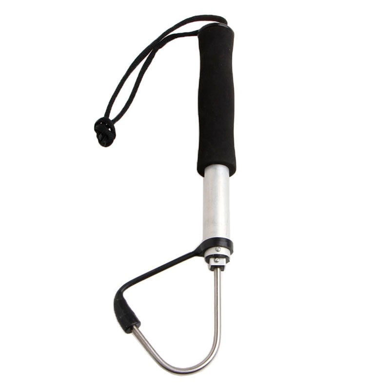 Teleskopischer Ausziehbarer Fi – Landing Net Telescopic Bewertung und Preis