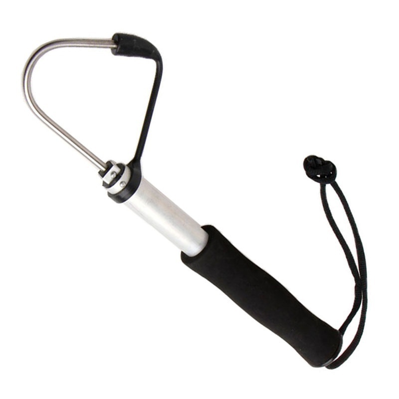 Teleskopischer Ausziehbarer Fi – Landing Net Telescopic Bewertung und Preis