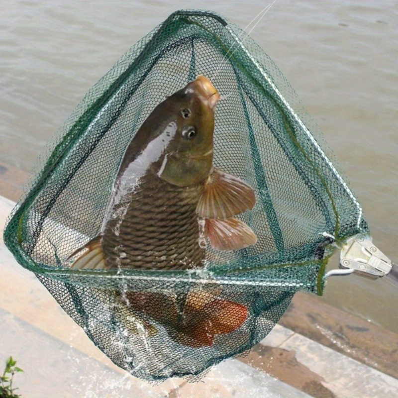Faltbares Dreieck-Fischkescher – Landing Net Telescopic Bewertung und Preis