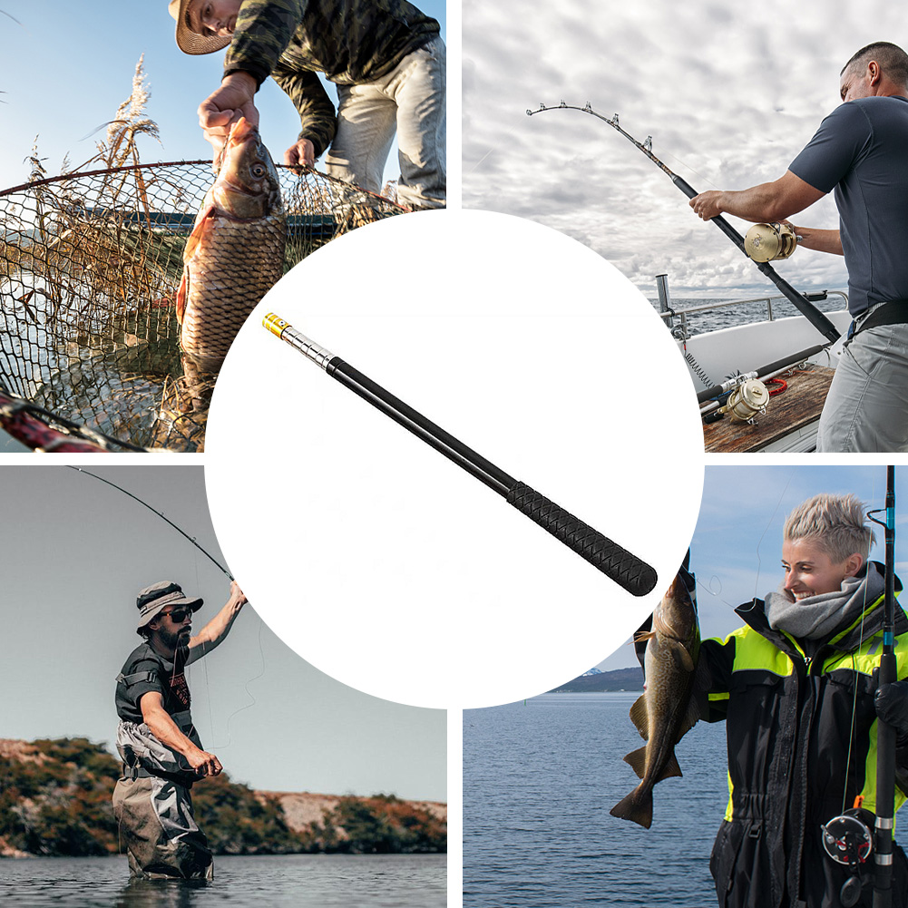 Einziehbarer Teleskop-Kescherg – Landing Net Telescopic Bewertung und Preis