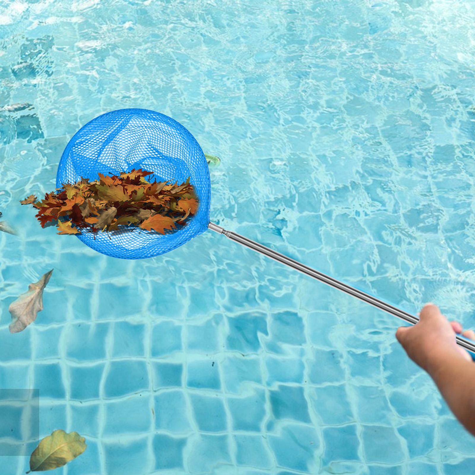 Pool-Skimmer-Netz mit Teleskop – Landing Net Telescopic Bewertung und Preis
