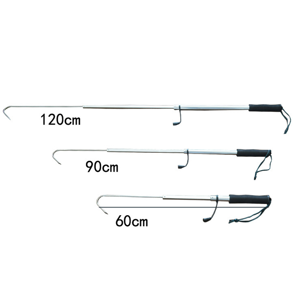 Teleskopischer Fischgaff aus E – Landing Net Telescopic Bewertung und Preis